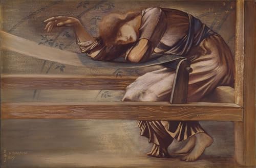Cuadro de lienzo de Briar Rose por Edward Burne-Jones ideal para salones elegantes de 60x90cm