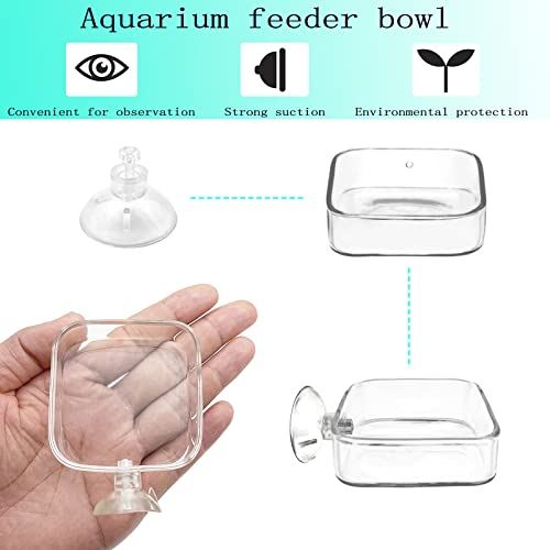 Image of Aquarium Shrimp Feeder Dish Glass Fish Tank Feeding Bowls, 2pcs Square Glass Food Bowl (60mm), 1pcs Round Fish Feeding Bowls with Suction Cups (60mm)