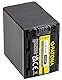PATONA NP-FV100 Akku 2700mAh Ersatzakku kompatibel mit Sony FDR-AX100E AXP33 DCR DVD92E 105E 106E 109E 110E 115E 150E 202E 203E 205E 304E 305E 310E HC16E HDR CX105E CX106E NPFV100 FV100 FV-100