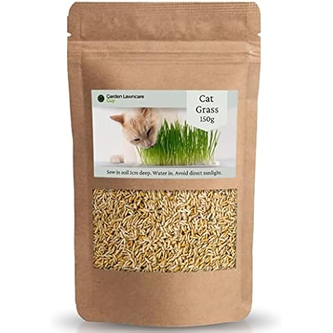 Cat Grass Seeds UK for Indoor & Outdoor Cats - Reduce Hairballs - Grows in 7 Days - 150g Bulk Pack Makes 50 pots Cover