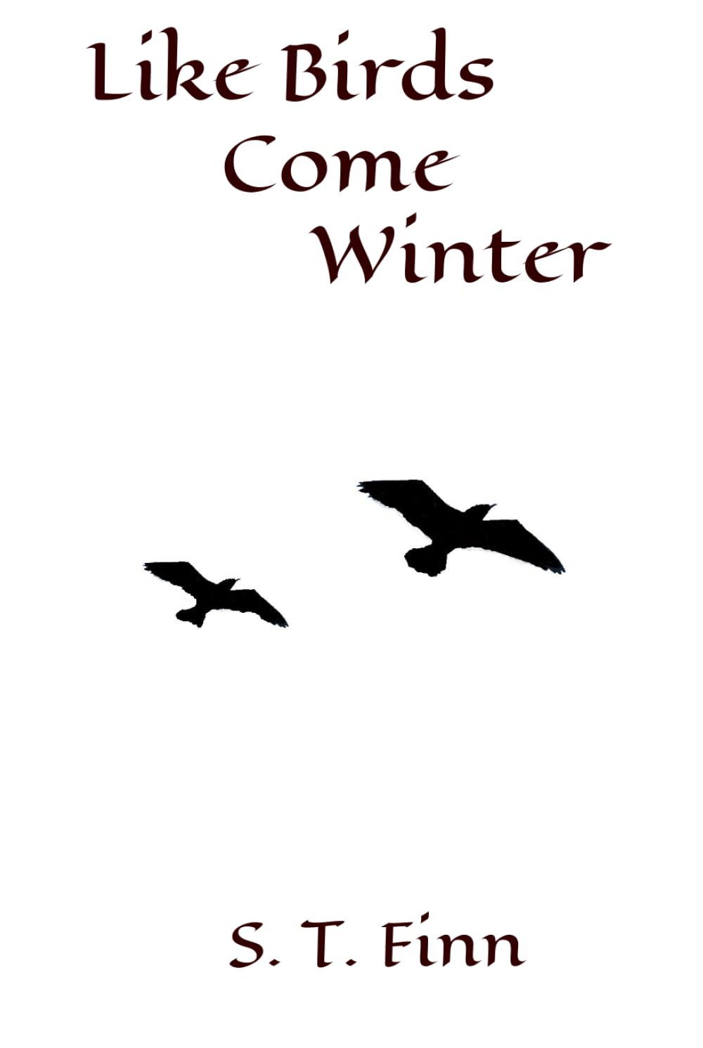 Like Birds Come Winter: A Contemporary Coming-of-Age Story