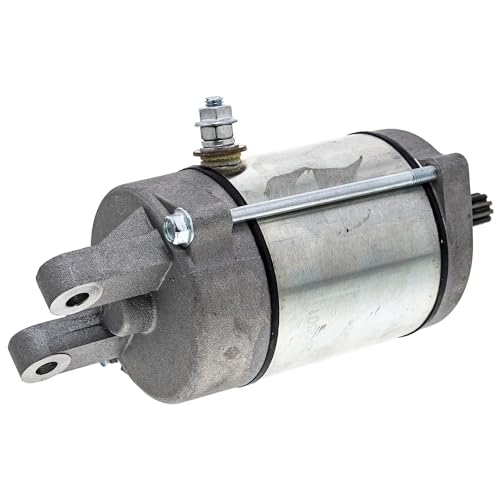 Démarreur électrique haut de gamme pour GTS 250 et Joymax 250i Z