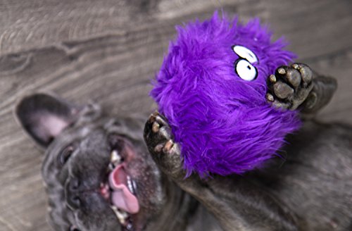 Godog Furballz Squeaker Plush Pet Toy For Dogs & Puppies, Soft & Durable, Tough & Chew Resistant, Reinforced Seams - Purple, Small #TOP4