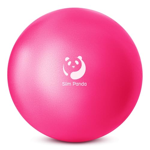 Slim Panda Ballon Pilates Petite,23 cm Anti-Slip Ballon de Gymnastique avec Paille de Gonflage,Soft Yoga Ball Équilibre pour Seniors...