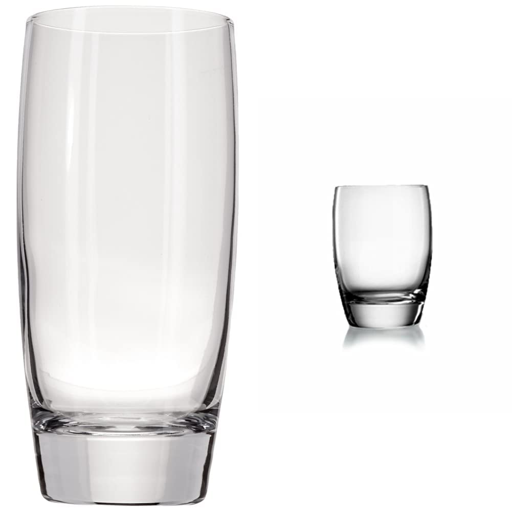 Luigi Bormioli Michelangelo Beverage Glasses and Whisky Glasses Set of 8