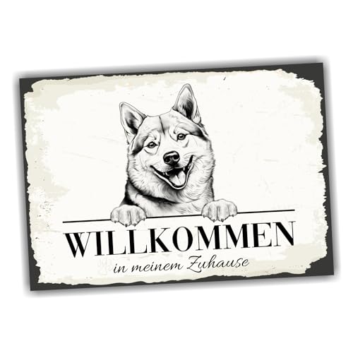 siviwonder Hundeschild Willkommen Zuhause Shiba Inu Japan Dog Schild Spruch Türschild Warnschild Geschenkidee schöner Spruch Hundemotiv Aluminium Wetterfestes Hundeschild