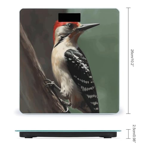 Báscula Digital de Baño de Vidrio Templado Woodpecker 400lb miniatura 2