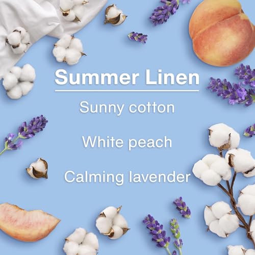 Image of LITTLE TREES Car Air Freshener | Hanging Tree Provides Long Lasting Scent for Auto and Home | 24 Air Fresheners |Summer Linen