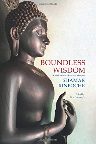 Boundless Wisdom: A Mahamudra Practice Manual