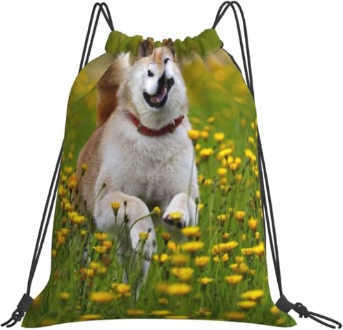 [ESASAV] Ԕ̒ɂČ ibvTbN [ e h y ܂ [obO В j ^ s AEghA