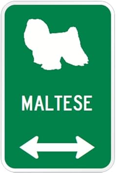 Amazon Co Jp Maltese マグネットサイン グリーン マルチーズ 小 シルエットイラスト 矢印 英語標識デザイン Water Resistant Uv Coat 服 ファッション小物