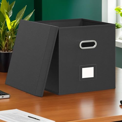 Boîtes de rangement pour étudiants amis passionnés de disques vinyles - 2