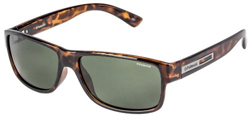 Buy Polaroid Wayfarer Sunglasses (Tortoise) (P8362B) at Amazon.in