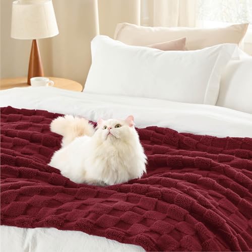 Bedsure GentleSoft Twin Blanket for Bed Red - Super Soft Cozy Mother's Day Blankets for Kids Girls, Cute Fuzzy Fleece Throws for Bedroom Couch, 60x80 Inches by Bedsure - Image 4
