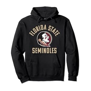 Florida State University FSU Seminoles Large Pullover Hoodie