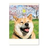 新日本カレンダー 2026年 カレンダー 壁掛け 柴犬まるとおさんぽ 年表付 NK35