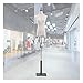 DFJU Corps de Torse de Mannequin féminin, poupée à Coudre en Forme de Robe sans Bras, présentoir de Robe de mariée de vitrine, Base en Bois carrée, 2 Tailles (Couleur : D, Taille : Petit) (AS)
