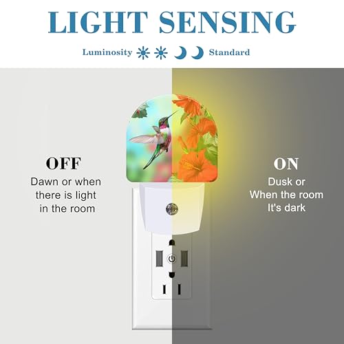 Image of Hummingbird on Lossoming Red Flower Night Light Plug into Wall with Dusk to Dawn Sensor Cute Nightlight for Kid Girls Boys Women Men Room Decor, Hallway, Kitchen, Bathroom, Nursery, Stairs
