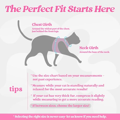 Image of rabbitgoo Cat Harness and Leash Set, Step-in Soft Vest, Pink | Escape Proof, Lightweight, Easy-on & Adjustable, Hook & Loop with Buckle, Reflective, for Small Cats Walks, XL