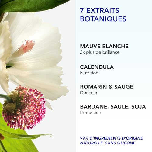 Routine Phyto 7 pour Cheveux Secs Domptez vos Matins Difficiles