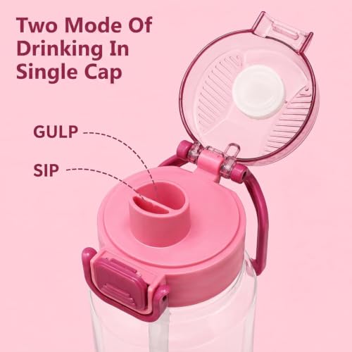 Image of Exotic Charm Flamingo Printed Water Bottle 1 Litre with Straw & Gulp Drinking