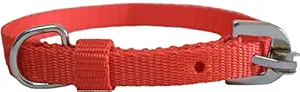 MUNCHOS Fine Quality 0.5 Inchi Puppy and Cat Collar - (Colour May Vary)