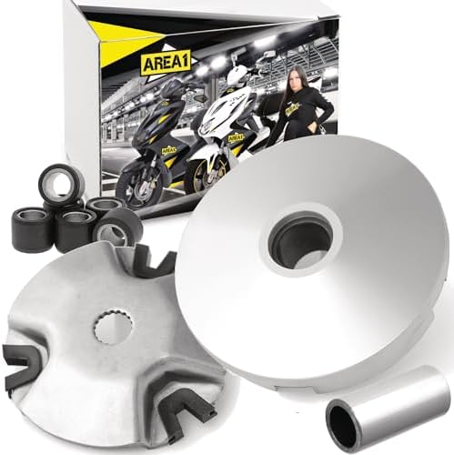 Area1 Variomatik Set Für 50ccm 2-Takt Roller - Komplettset Für Keeway, CPI Roller