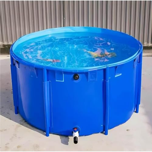 Bassin d'aquaculture 1.2x0.6m avec vanne de vidange et support stable