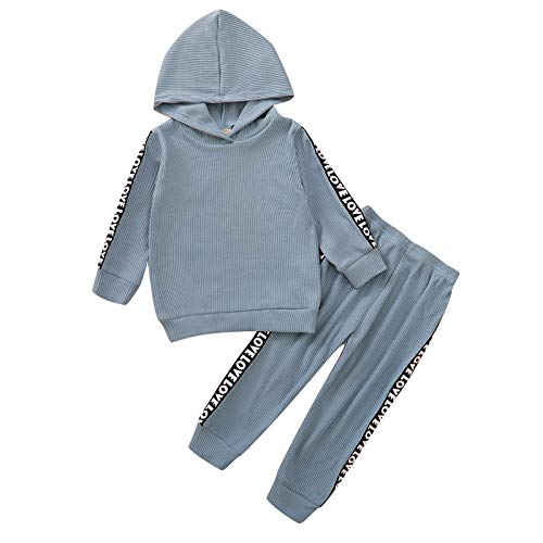 Toddler Kids Tracksuit Baby Boys Girls Hooded Top + Sweatpants Outfits Solid Color Clothes Set(Blue, 2-3T)