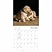 Pooped Puppies September 2022-December 2023 Calendar