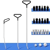 KINNIPON Car Dent Removal Rod Tools,Paintless Dent Repair Kit with 3 Pcs Stainless Steel Rods and 22Pcs Tips,Dent Repair Rods for Car Dents Door Dings and Hail Damage Removal