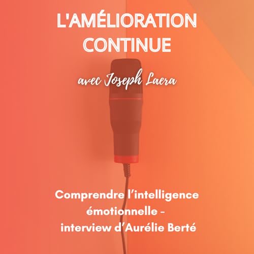 Comprendre l'intelligence &eacute;motionnelle &ndash; interview d&rsquo;Aur&eacute;lie Bert&eacute;