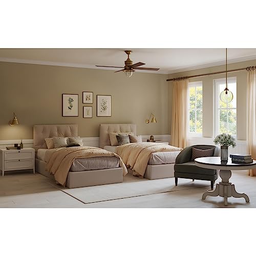 Image of Penn Collection 1-Light Clear Glass Farmhouse Pendant Light Natural Brass