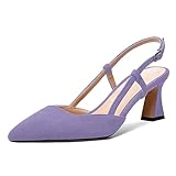 FEMSTEP Mujer Talón Medio Válvula Deslizante Cabestrillo Piel De Cabra Hebilla Sólido Boda Punta Puntiaguada Vestido 2.5 Inch Zapatos De Tacón Lavanda Tamaño 37