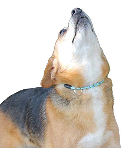 National Leash Mountain Rope Dog Id Collar- Blue Eyes - Small (10"-16") Ultra Lite #TOP1