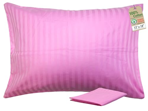 ZPECC Toddler Pillow with Pillowcase - 13x18 Organic Cotton Hypoallergenic Kids Pillow, Baby Essentials for Travel Crib Daycare Stroller (Intended for Age 2 and up) Pink Stripe