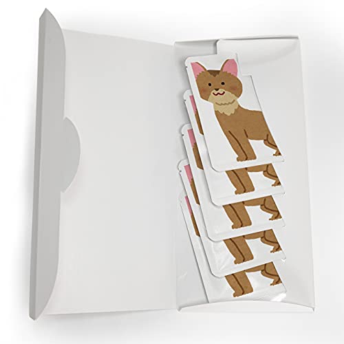 肪Ƃ ̓ ̓  A  v`Mtg R[q[ hbvobO 5  (ArVjA)