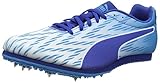 PUMA Unisex Evospeed Star 5.1 Traillaufschuhe, White-Blue Danube-True Blue, 47 EU