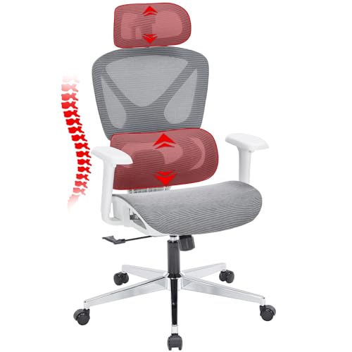 Ergonomic Office Chair, Mesh Chair with Tilt Function and Lumbar Support, 3D Headrest, 3D Armrests, 3-Position Locking Mechanism, Big and Tall Office Chair for Home Office (Gray)