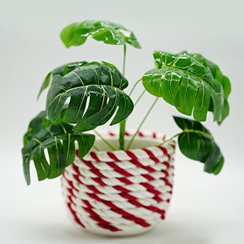 Beauvue LBF825629 3 Strand Natural Twisted Cotton Rope (1/2 In X 100 Ft) Strong Thick Soft Rope thumb #1