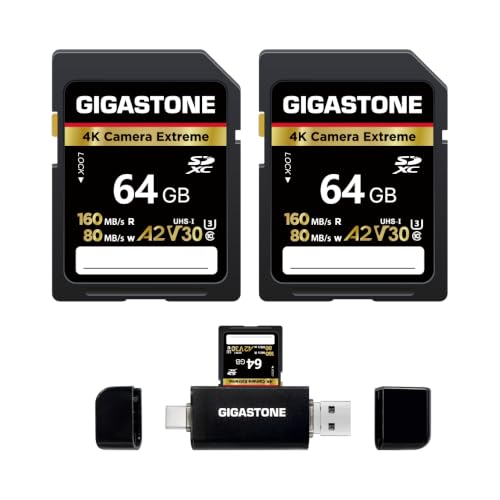 Image of 【5-Years Data Recovery】 GIGASTONE 64GB SD Card 2-Pack + USB C Card Reader