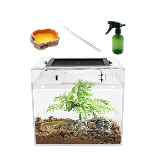 Reptile Growth P01-PJ-USA1 Mini Reptile Pc Terrarium,8X8X8 Inch Amphibian Tank Starter Kit Habitat Cage,For Insect,Fish,Tarantula,Turtles,Jumping Spiders And Small Reptiles cover