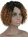 Beauart 10 Inches Short Curly Lace Human Hair Wigs 130% Density Ombre Black to Brown Brazilian Afro Human Hair Wig for Black Women Lace Hand Tied Deep L Parting Natural Real Hair Wigs