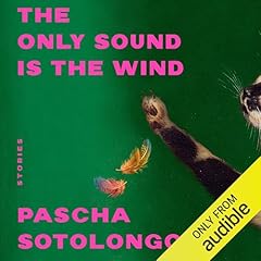 The Only Sound Is the Wind Audiolibro Por Pascha Sotolongo arte de portada