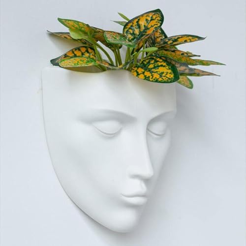 Pot de fleurs décoratif pour le visage en forme de bouteille unique - 8