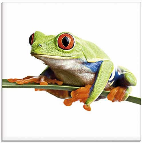 Glasbild ARTLAND Frosch auf einem Blatt Bilder Gr B H 30 cm x 30 cm Wassertiere 1 St weiß Glasbilder Bilder in verschiedenen Größen