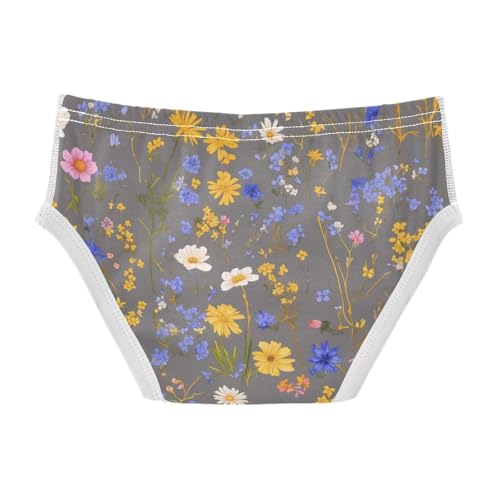 KLL Colorful Wildflowers Pattern Toddler Boys' Pure Cotton Briefs Breathable Undies2