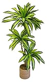 Árbol compuesto por troncos artificiales con ramas de gran calidad articuladas, para poder darle la forma deseada.