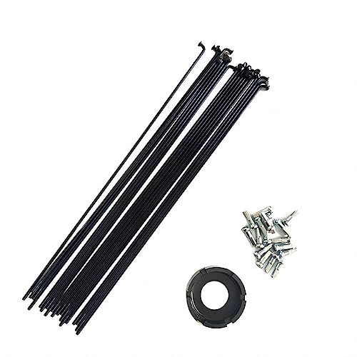 BIKECO Lot de 40 rayons de vélo J Bend en acier au carbone