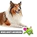 Hyper Pet Doggie Pal Monster Interactive Plush Dog Toys - Wiggles, Vibrates, and Barks, Durable Dog Toys for Boredom and Mental Stimulation for All Breed Sizes